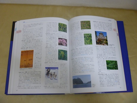 総合百科事典ポプラディア(2002年版)　買取査定、宮城県仙台市