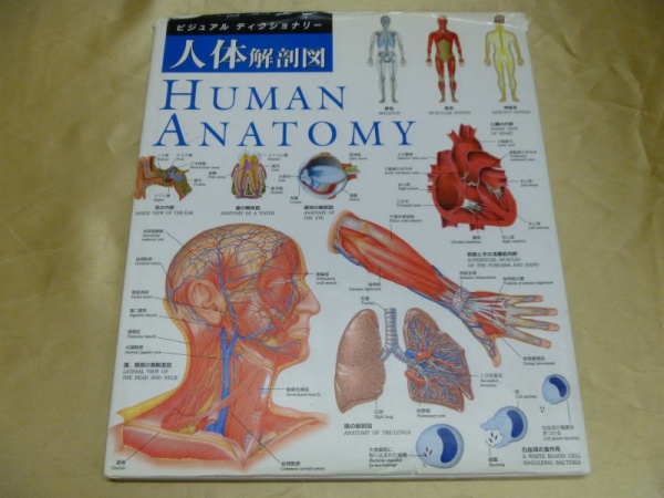 解剖学・皮膚科の医学書を売るなら、藍青堂書林にお任せください