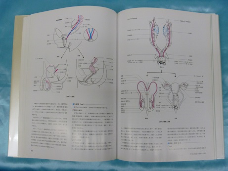 解剖学の医学書を高価買取しております