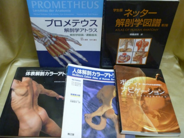 解剖学・キネシオテーピングの医学書の古書買取は藍青堂書林にお任せください