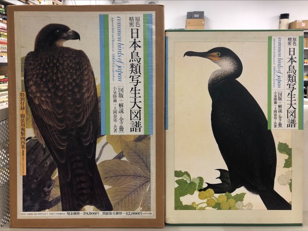 原色精密 日本鳥類写生大図譜 買取